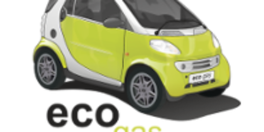 Eco-gaz banner