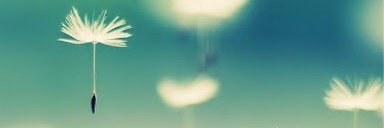 Charmed6879's profile banner image