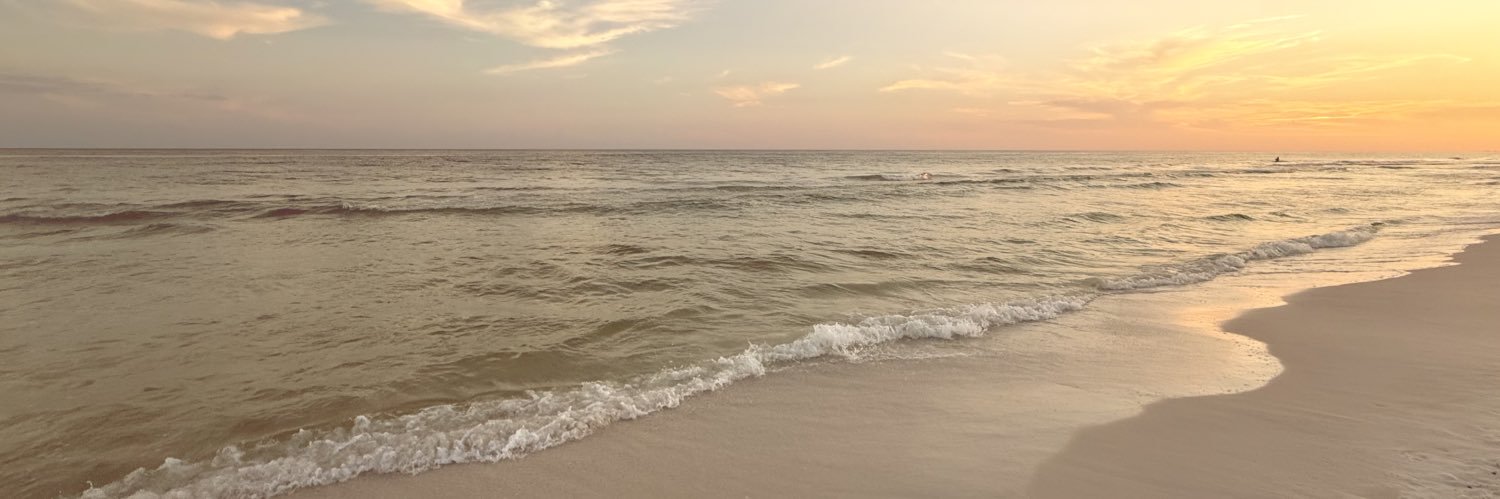 Olivia Cortez banner