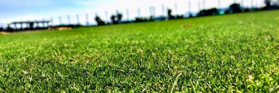 samysami0000's profile banner image