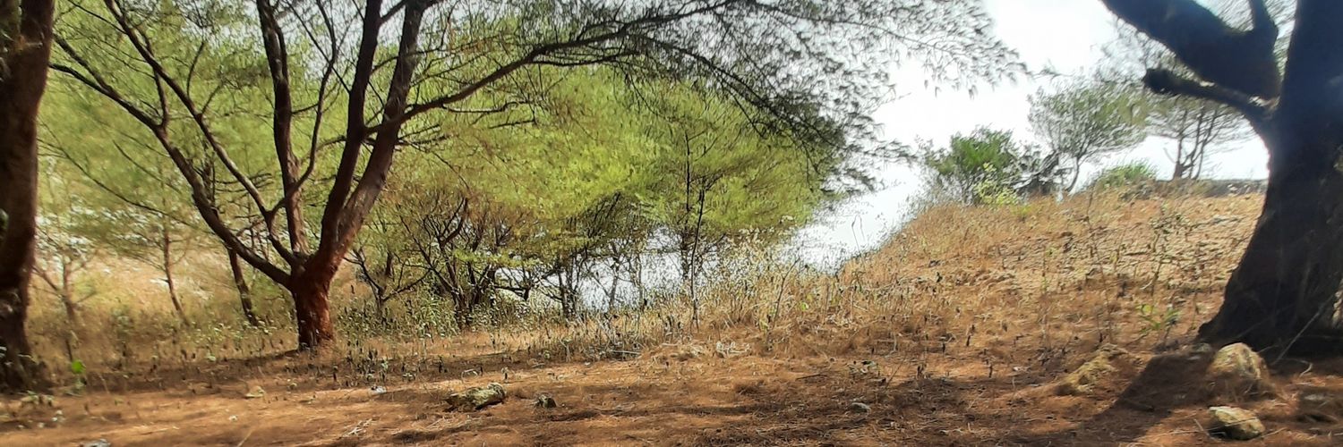 LxGNWN's profile banner image