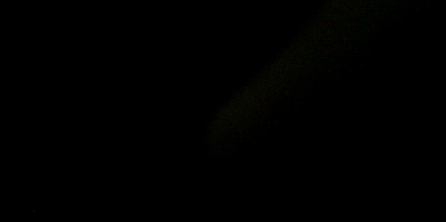 justcallmeaina's profile banner image
