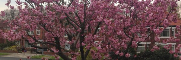 KerryEdwardsOT Profile Banner