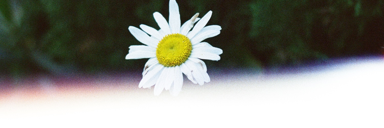 hammathidayam's profile banner image