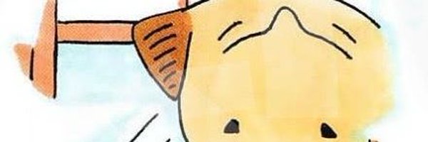 rodacoco Profile Banner