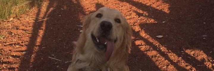 JuankM2's profile banner image