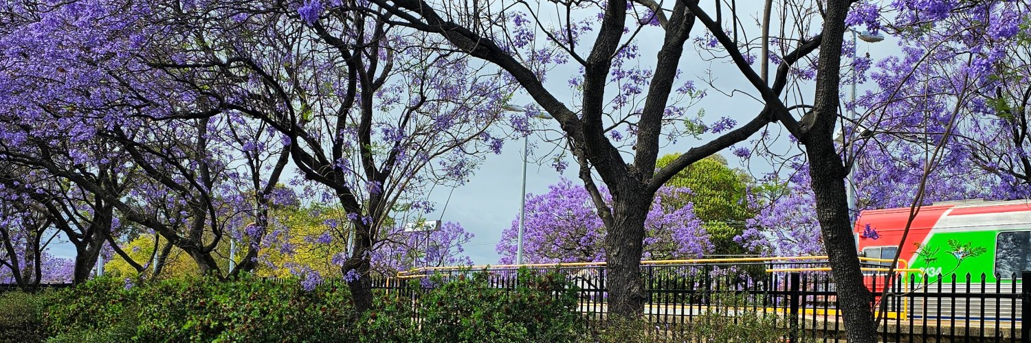 Jan Bowman 🌈 banner