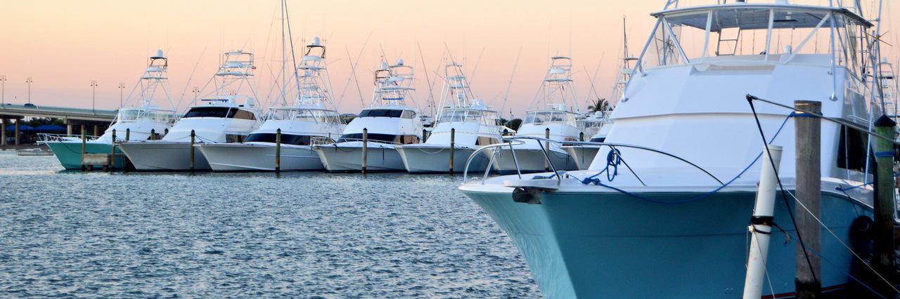 FishBluewater's profile banner image