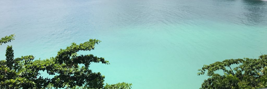 GYP_C banner