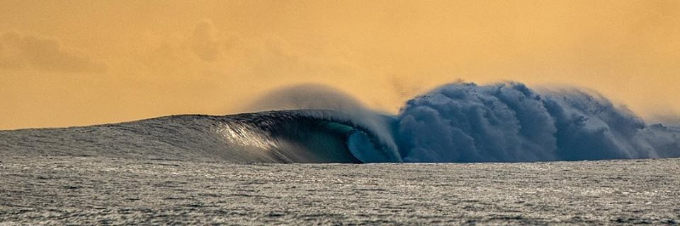 thomas_lerra banner