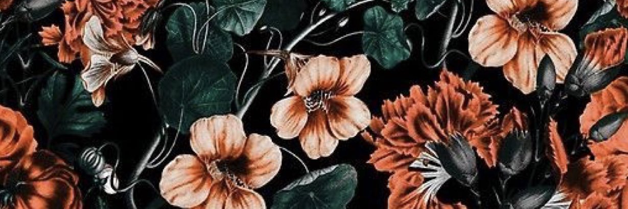 Paige Boeckner banner