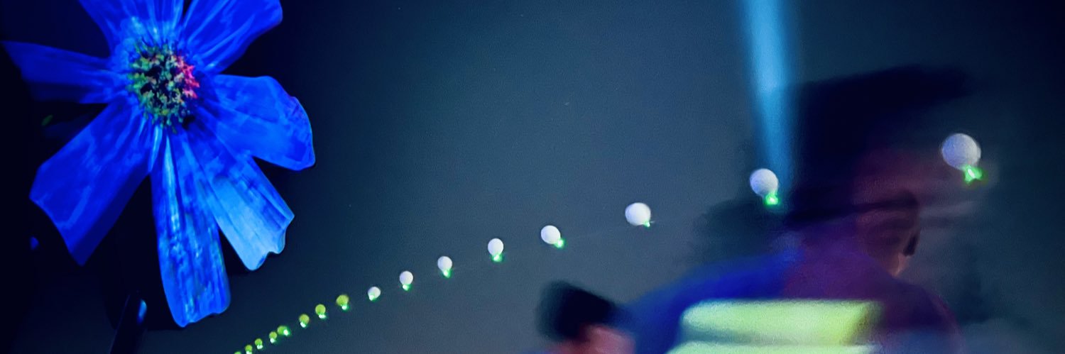 SLAPSTEV's profile banner image