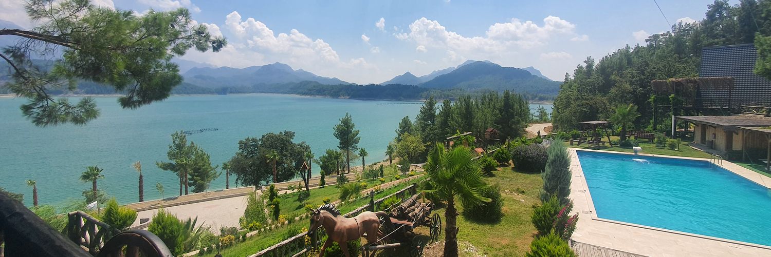 د. عبدالمحسن الهاشم banner