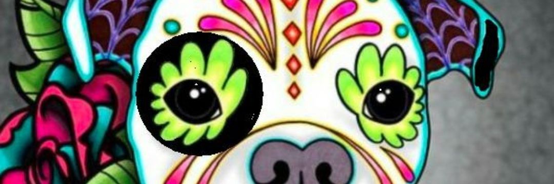 KATU_MHF's profile banner image