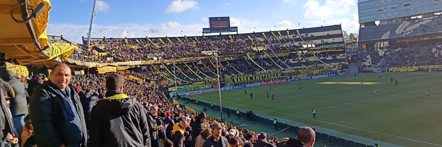 fernandosotal's profile banner image