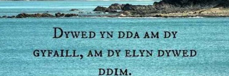 ElynStephens's profile banner image