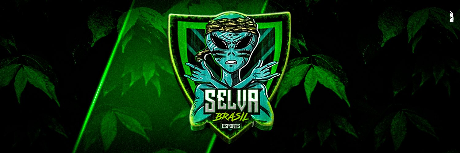 Selvabresports's profile banner image
