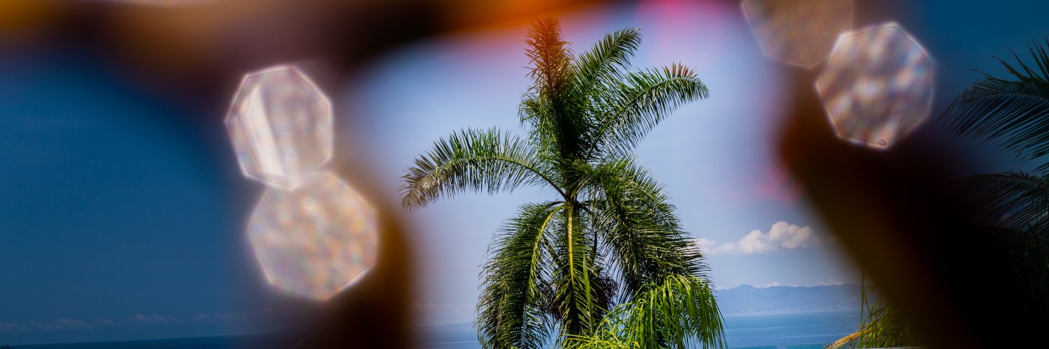 cara_saur's profile banner image