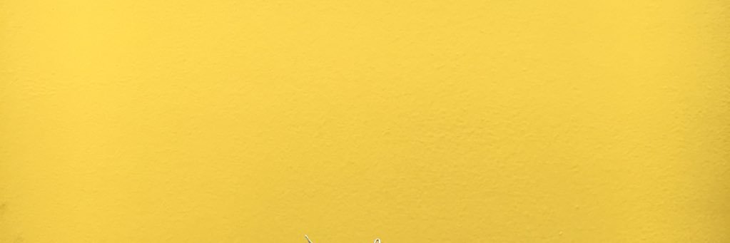 maevepotash's profile banner image