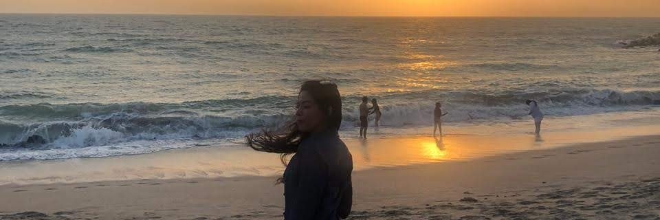 soffiitorres's profile banner image