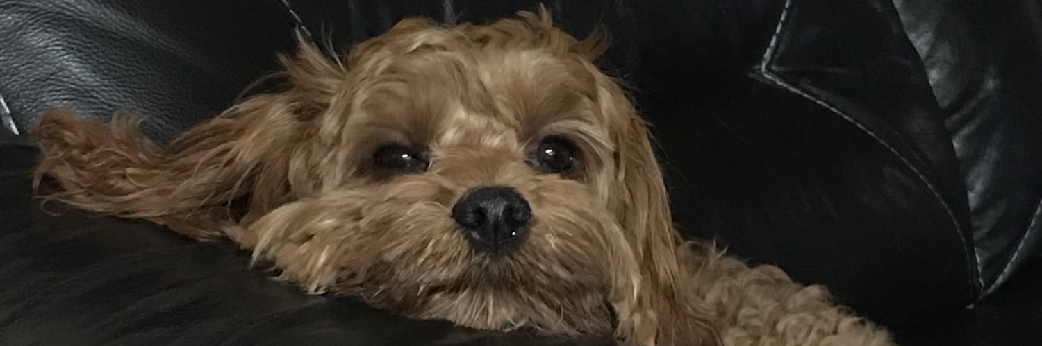KatRodop's profile banner image