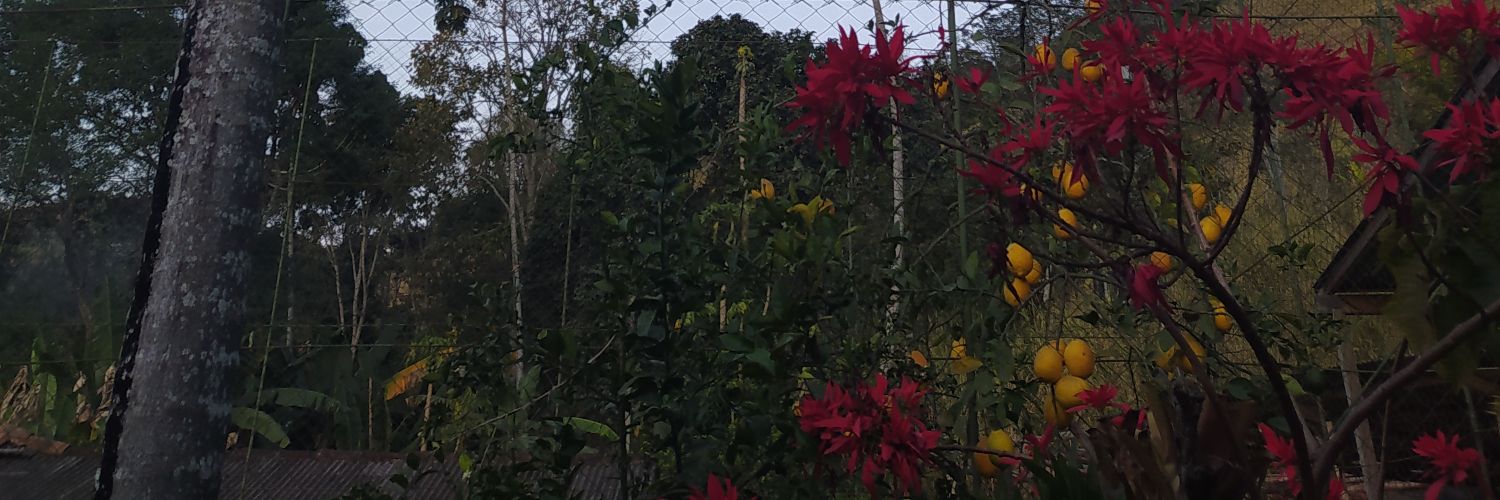 DanDiedrichs's profile banner image