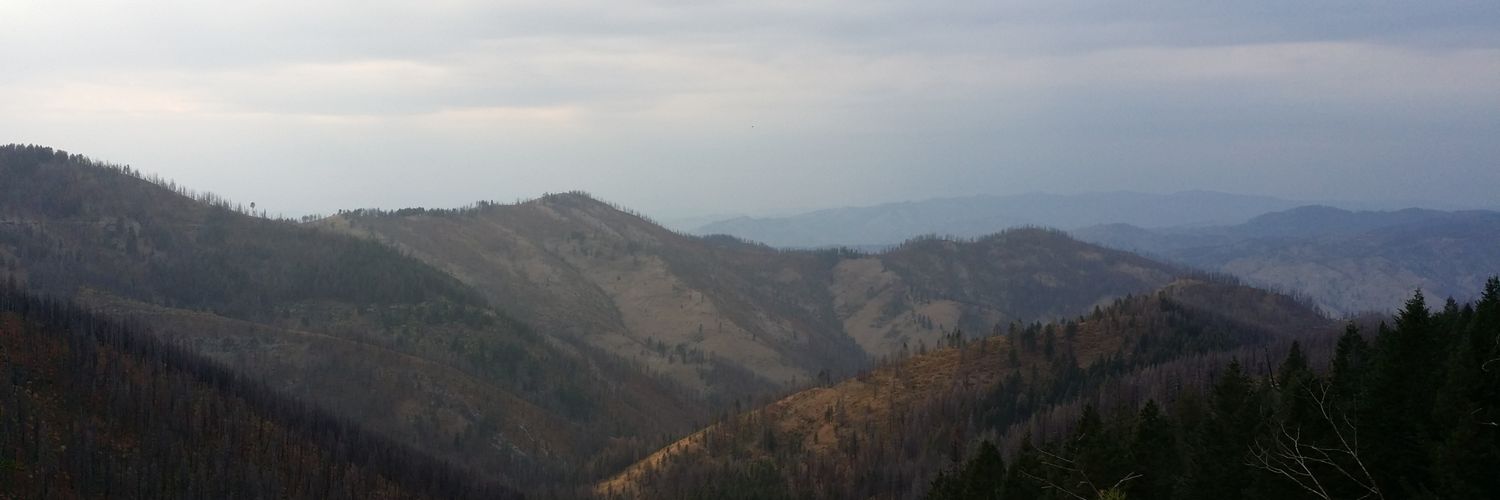 theliquidburn's profile banner image
