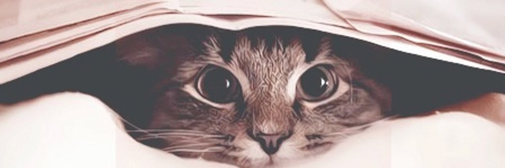 depaisea's profile banner image