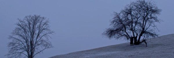 MarkPalermo Profile Banner