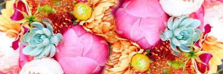 koster_jj's profile banner image