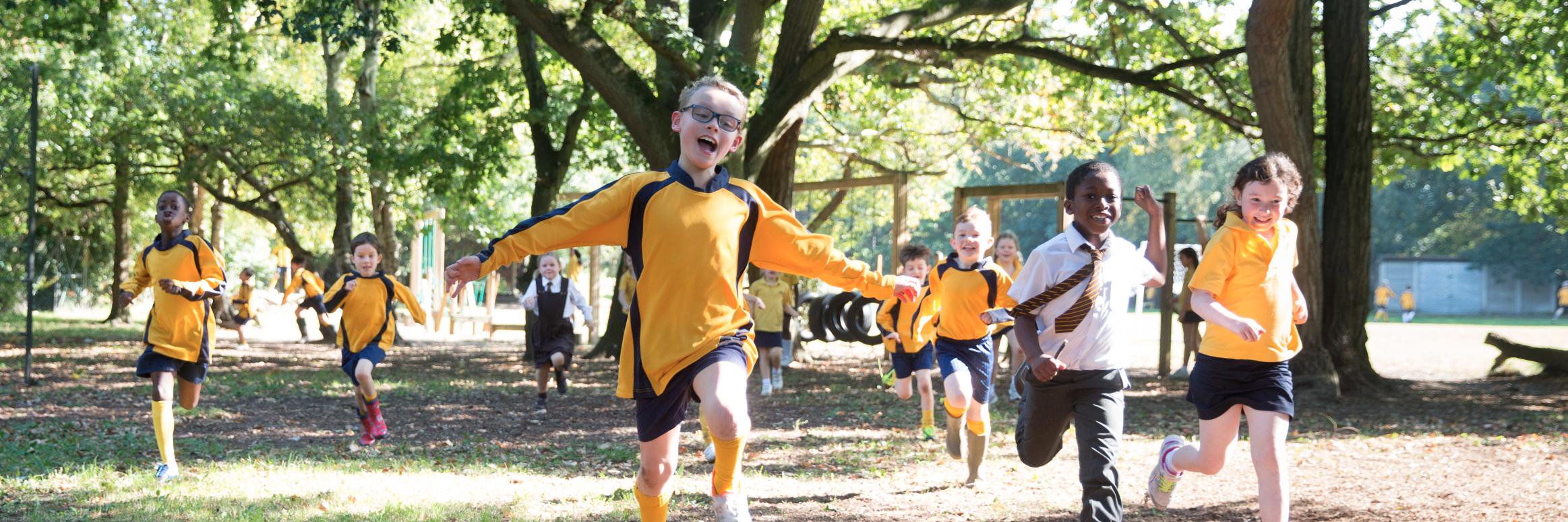 St David's Prep banner