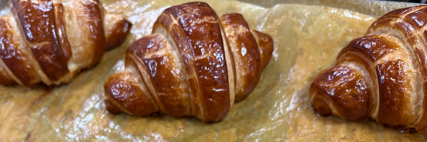 Danielle Braff Karpinos banner