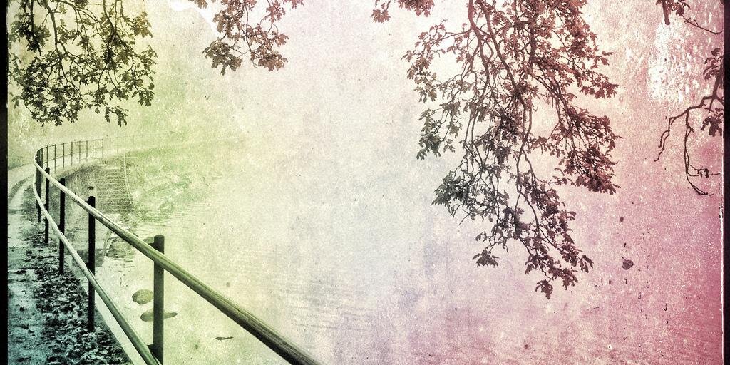 sandyinsider's profile banner image