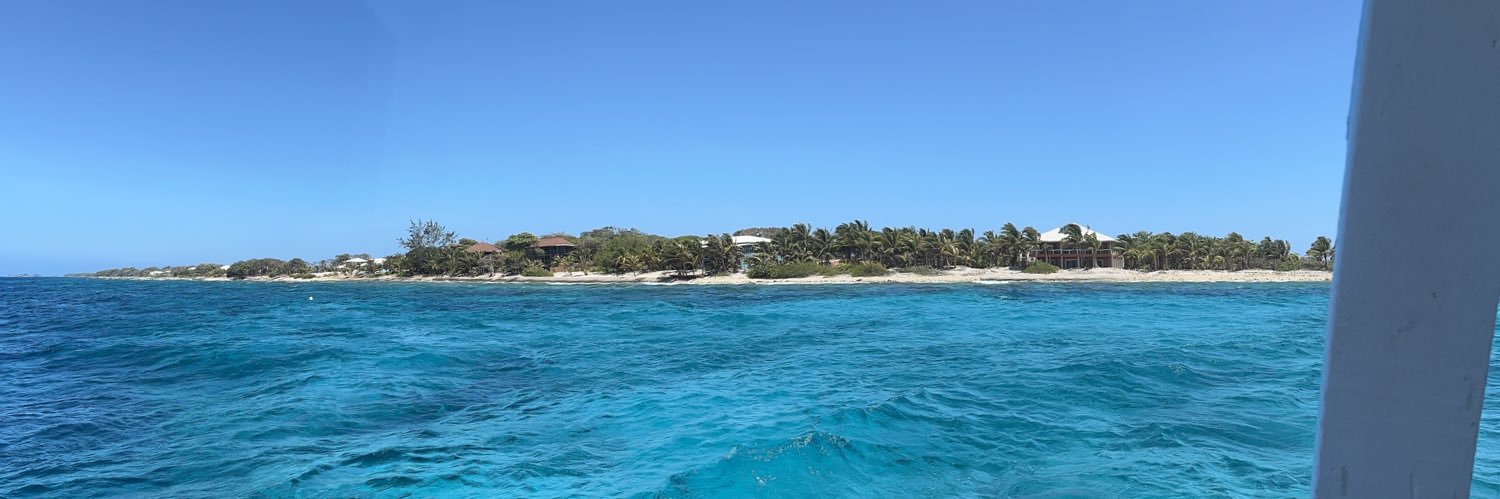 Diego Marchetti banner