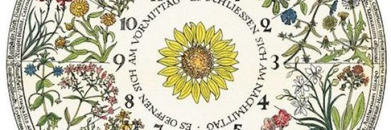 MercedesBocc's profile banner image