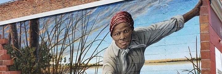 Real_Ntozonke's profile banner image