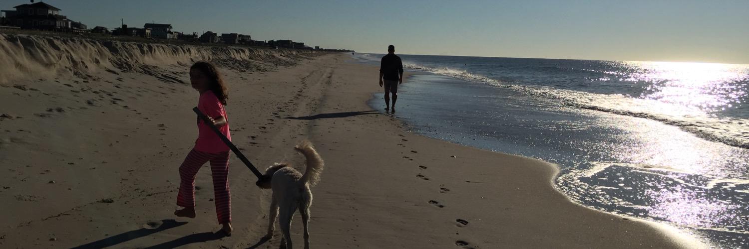 cookiecowin's profile banner image