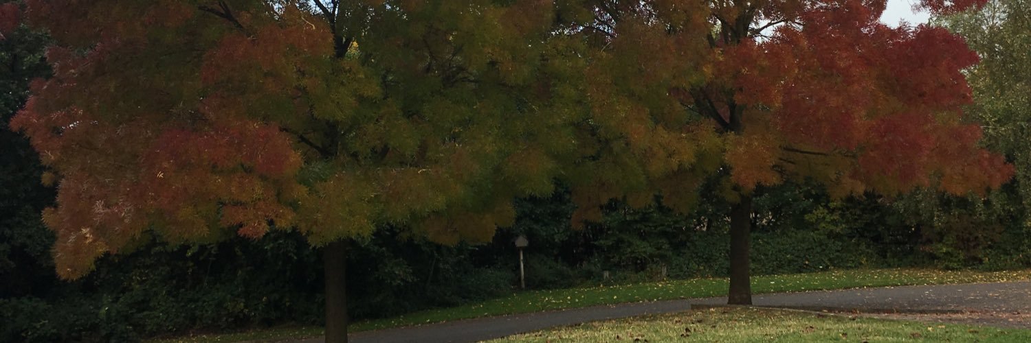 STWStaunton's profile banner image