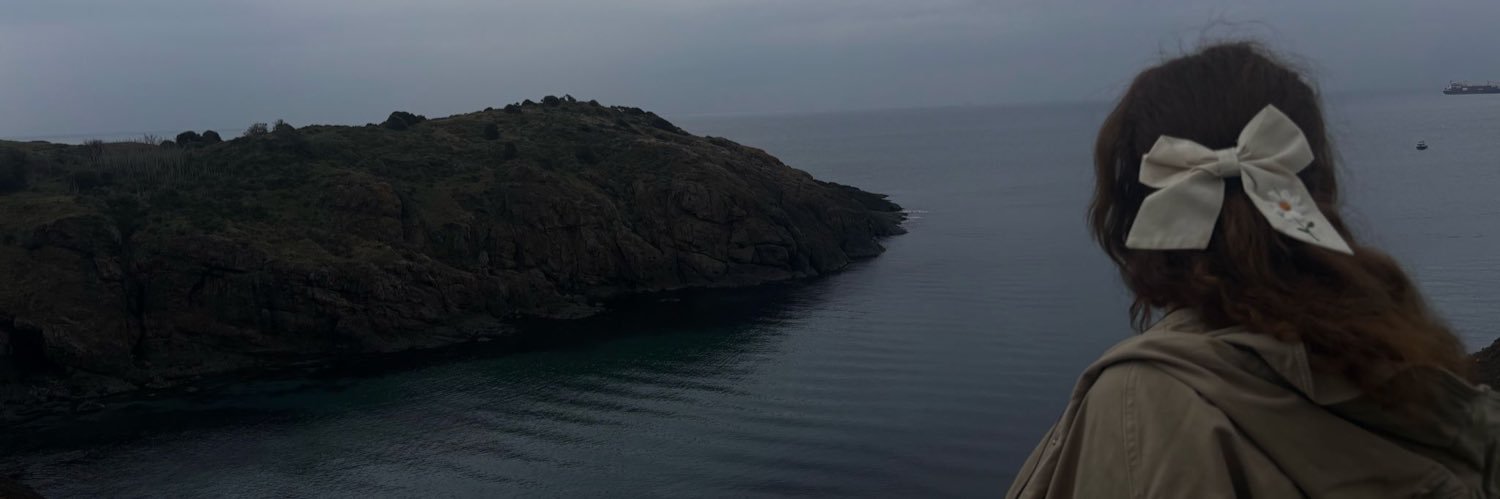 brcnbrksy's profile banner image