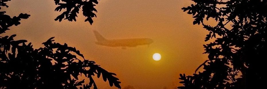 emesilva's profile banner image
