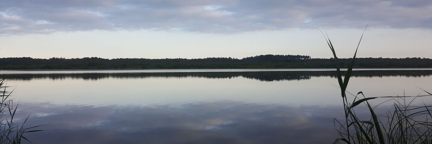 LoickGuesdon's profile banner image