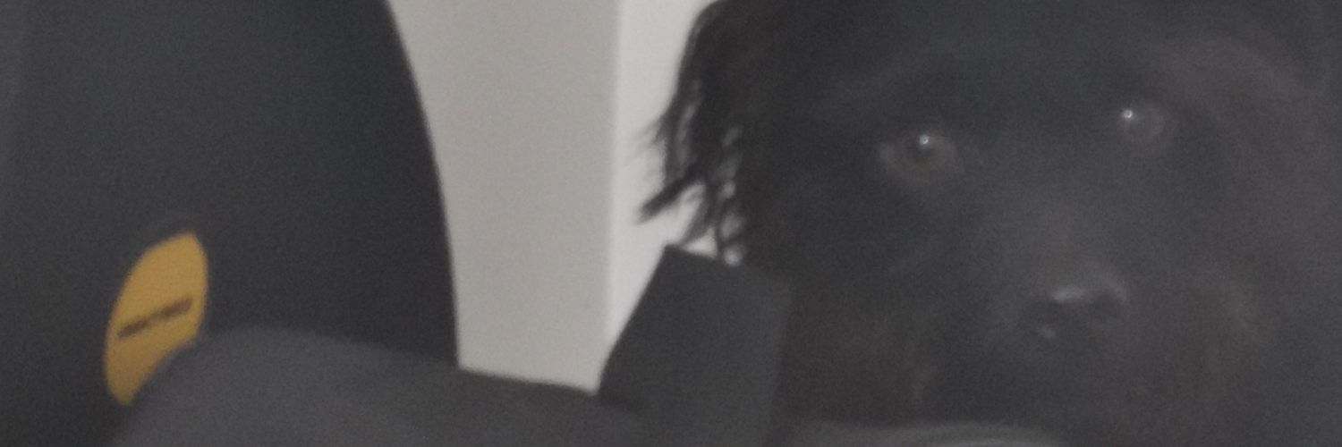 gingebex's profile banner image