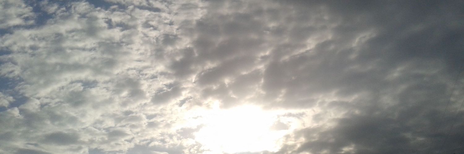paraalini's profile banner image