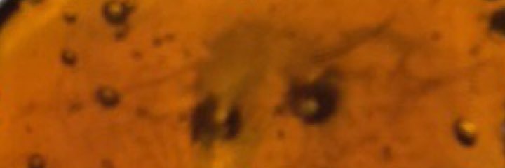 greyson_h's profile banner image