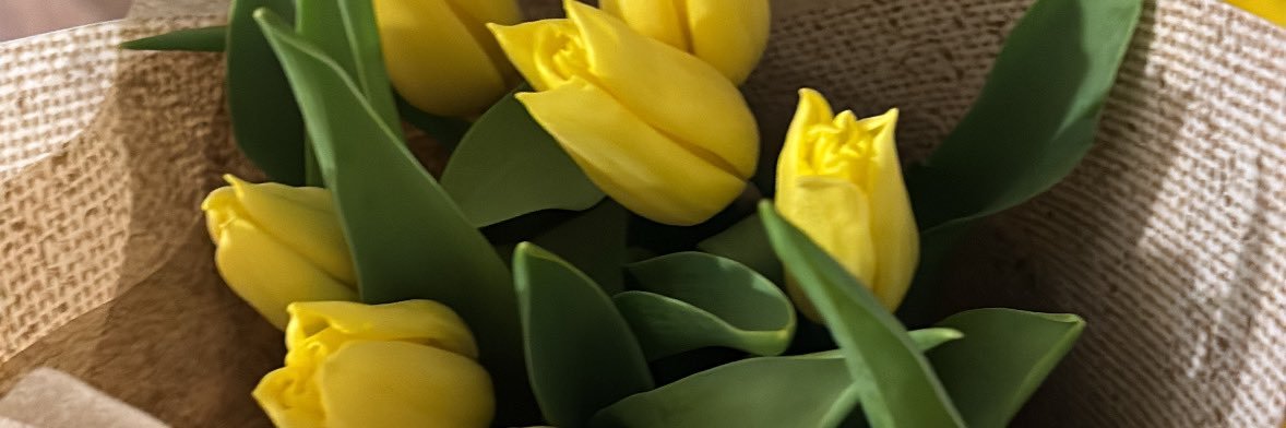sofia_moncayop's profile banner image