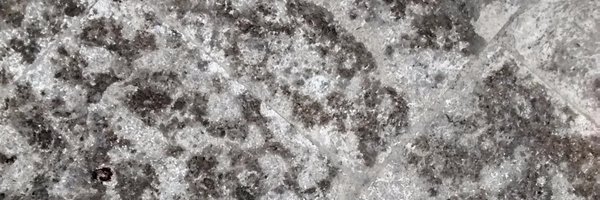 a11ybunch Profile Banner