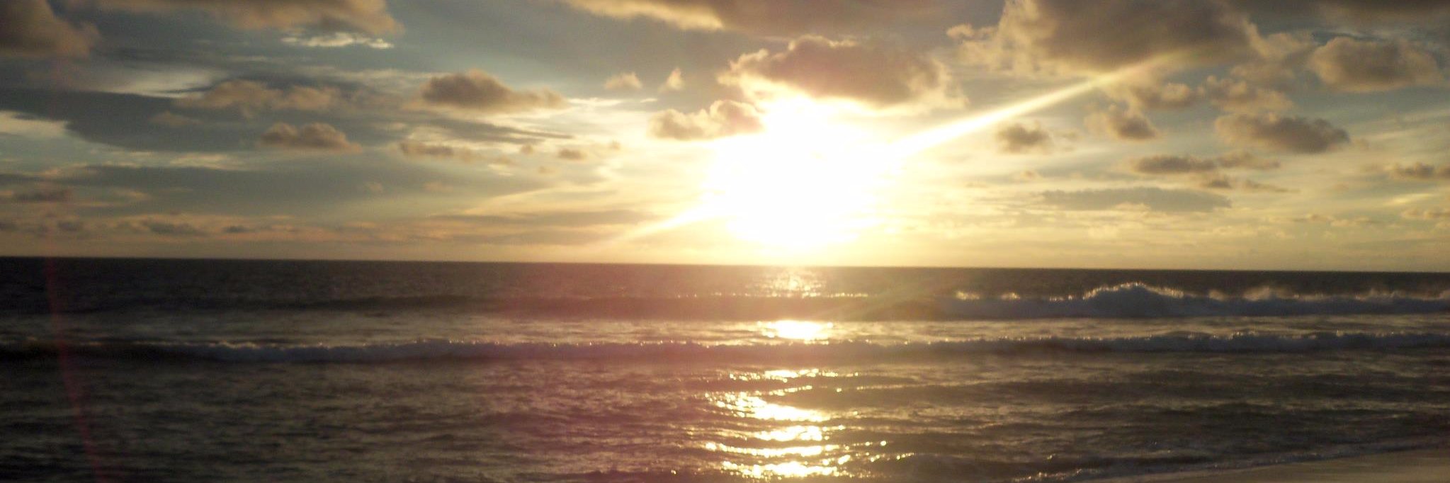 lpincay_p's profile banner image