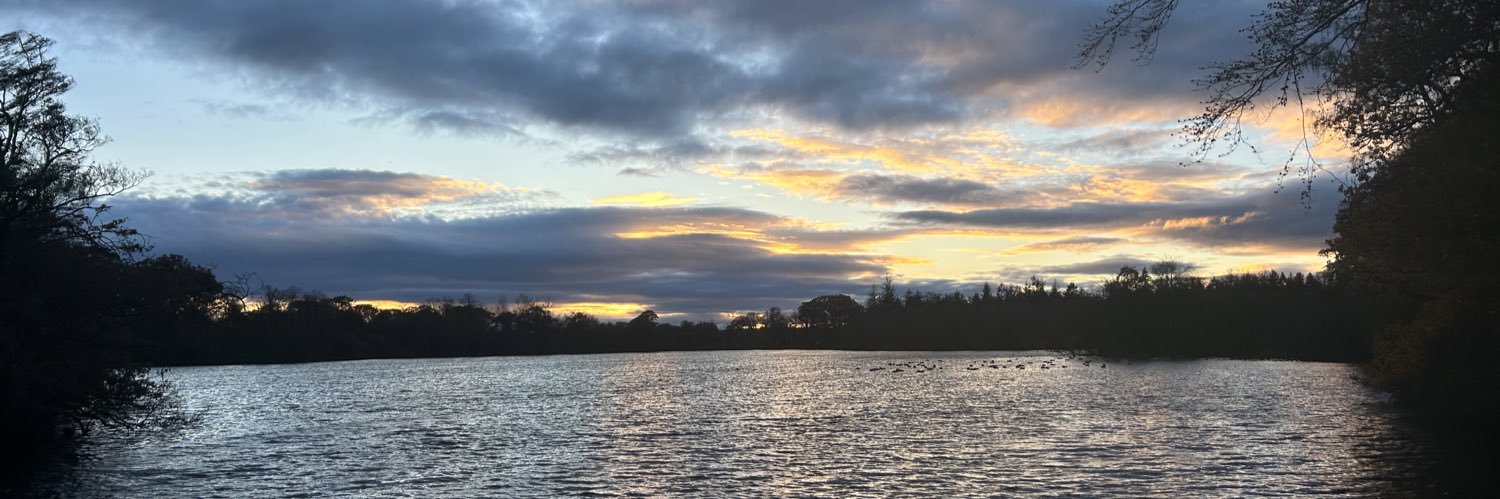 Helen O’Nien banner