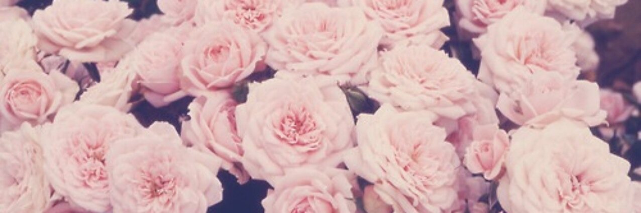 Isis_PM04's profile banner image