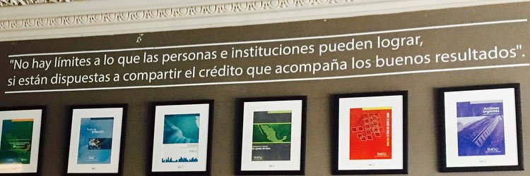 Ana Thaís banner